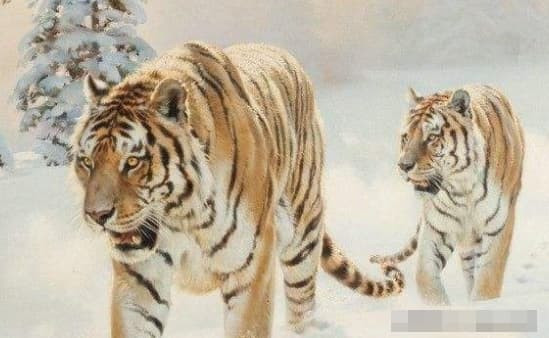 Tử vi tuổi Dần bước vào giai đoạn thăng hoa, tài lộc không gì cản nổi, dù là công việc hay cuộc sống, thường xuyên được nghe tin vui, được mệnh chủ trọng dụng trong công việc, giao phó những nhiệm vụ quan trọng, bản mệnh kiếm được nhiều tiền, hiện thực hóa lý tưởng của cuộc sống, thoát ra một thế giới, và gia đình sẽ tận hưởng hạnh phúc. Bài viết chỉ mang tính chất tham khảo, chiêm nghiệm.