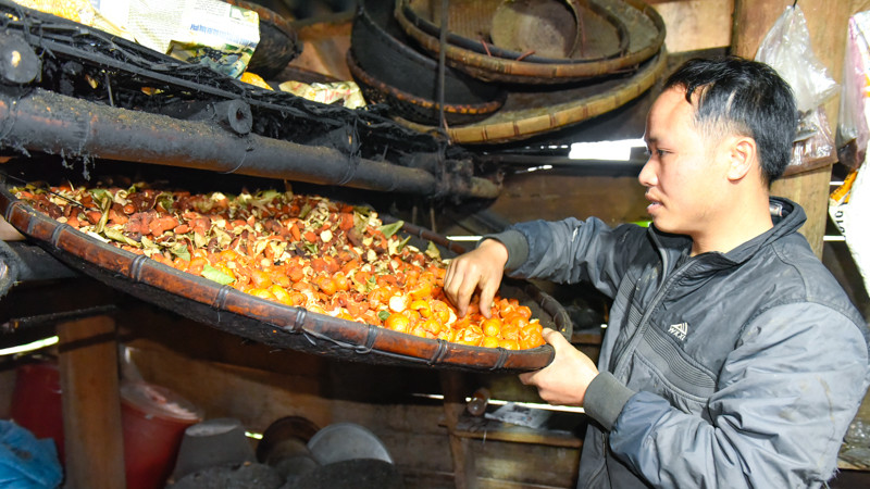 Vao rung hai quyt, nong dan deu tay kiem vai chuc trieu-Hinh-6