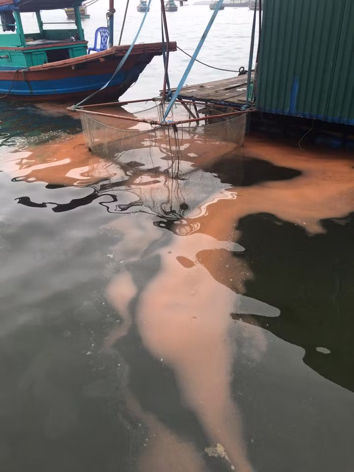 Lai xuat hien vet nuoc do bat thuong o cang Vung Ang