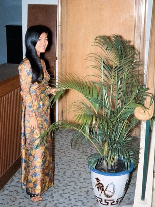 Nữ nhân viên tiếp tân khả ái tại một khách sạn, 1967. Ảnh: Bill Mullin