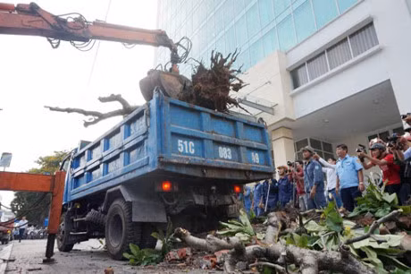 Cũng gần khu vực bức tường này, một bồn hoa trồng cây sứ chiếm vỉa hè, ông Phó chủ quận 1 cũng yêu cầu đơn vị chức năng bứng.