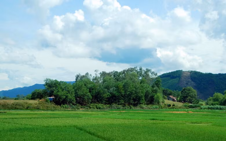 Gió Lào hay gió Tây Nam khô nóng là kiểu thời tiết khắc nghiệt đặc trưng của mùa hè tại một số tỉnh miền Trung Việt Nam. Đây là hiện tượng gió hình thành từ vịnh Thái Lan, sau khi vượt dãy núi Trường Sơn và tràn xuống các tỉnh vùng Bắc Trung Bộ và Trung Trung Bộ thì trở nên khô, nóng. Dạng thời tiết này khiến độ ẩm xuống rất thấp, trong khi nhiệt độ tăng cao, khiến cây cỏ héo khô, ao hồ cạn kiệt, con người và gia súc bị ngột ngạt, rất dễ sinh hoả hoạn. Ảnh: Nguyễn Thanh Sơn.