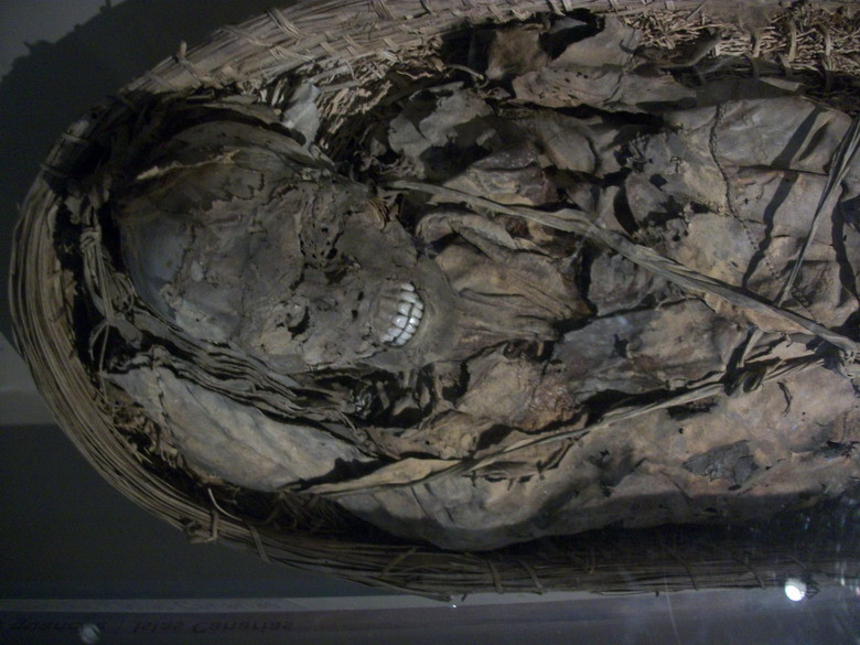 Hiện tại hầm mộ của tu viện Capuchin được mở cửa cho công chúng vào tham quan. Việc chụp ảnh bị cấm, nhưng nhìn chung các tu sĩ không thể kiểm soát được điều này. Lưới sắt cũng đã được dựng ở một số nơi để đề phòng du khách làm tổn hại, thậm chí lấy trộm các bộ phận của xác ướp làm kỷ niệm.