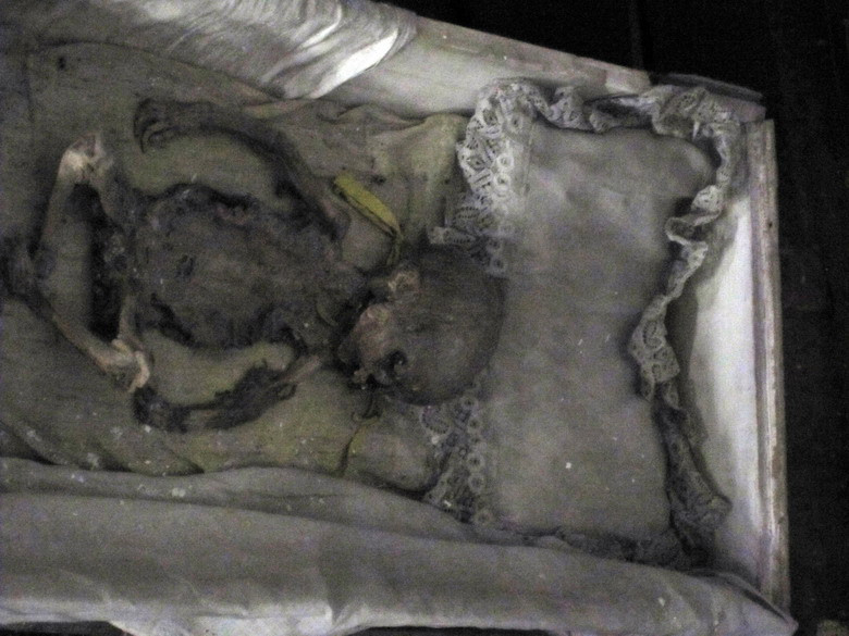 Các xác ướp ở tu viện Capuchin gồm đủ các thành phần xã hội như mục sư, bác sĩ, quý tộc, trẻ em… Tùy vào thành phần xã hội mà họ được sắp xếp vị trí ở những khu vực riêng biệt trong hầm tu viện.