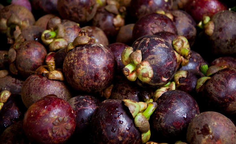 Việt Nam cũng là xứ sở của các loại quả nhiệt đới hấp dẫn, ví dụ như măng cụt.