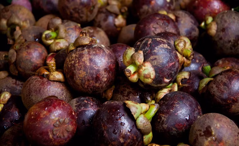 Việt Nam cũng là xứ sở của các loại quả nhiệt đới hấp dẫn, ví dụ như măng cụt.