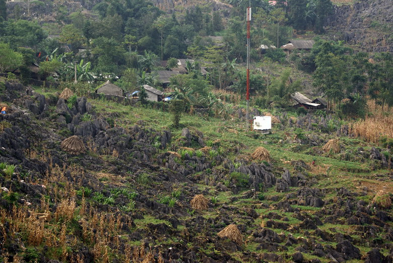 Để có thể trồng ngô, người nông dân nơi đây phải xuống vùng thấp để lấy đất gùi lên núi, đổ vào từng khoảng trống giữa những khối đá tai mèo sắc nhọn để gieo hạt.