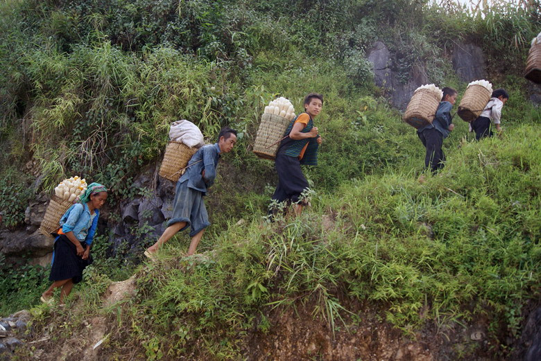 Để có thể thu hoạch được những gùi ngô trĩu nặng như thế này, con người của cao nguyên đá phải vượt qua vô vàn trở ngại, từ địa hình hiểm trở cho đến khí hậu khắc nghiệt, hạn hán vào mùa khô, lũ quét mùa mưa.