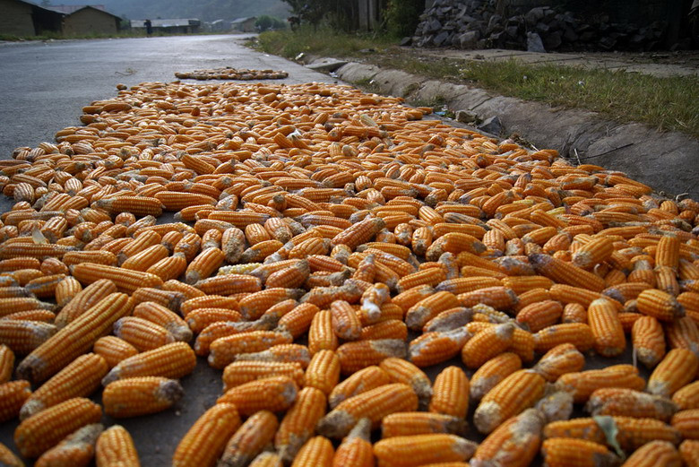 Thành quả lao động của họ là minh chứng hùng hồn cho câu "Bàn tay ta làm nên tất cả, có sức người sỏi đá cũng thành cơm".