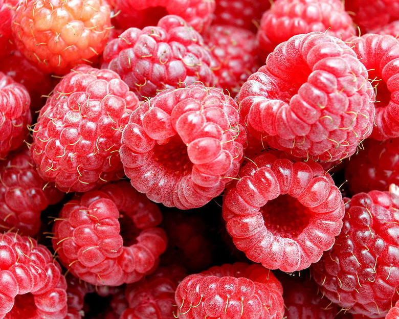 Mâm xôi đỏ (raspberry) hay bị nhầm với phúc bồn tử, là loại quả có họ hàng gần với mâm xôi đen, nhưng vị chua hơn. Giá tham khảo: 165.000 đ/1 hộp 170gr.