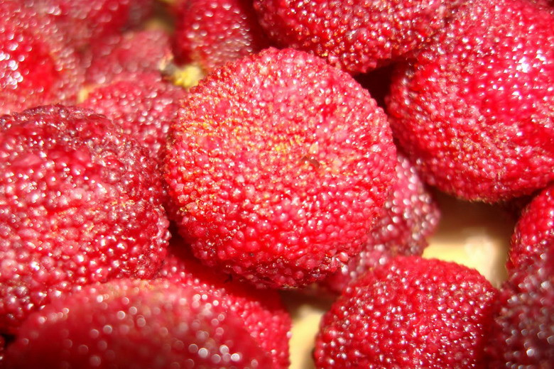 Quả thanh mai là một "đặc sản" không thể bỏ qua đối với du khách đi đến Lào Cai và Sapa. Loại quả được trồng ở Trung Quốc này có hương vị chua - ngọt rất đậm đà, giá bán khoảng 40.000 đồng/kg.