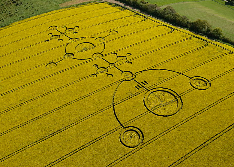 Ngoài các hình tròn đơn lẻ hoặc sự liên kết của các vòng tròn, crop circle còn xuất hiện dưới rất nhiều hình dạng khác nhau, nhiều khi là rất phức tạp.