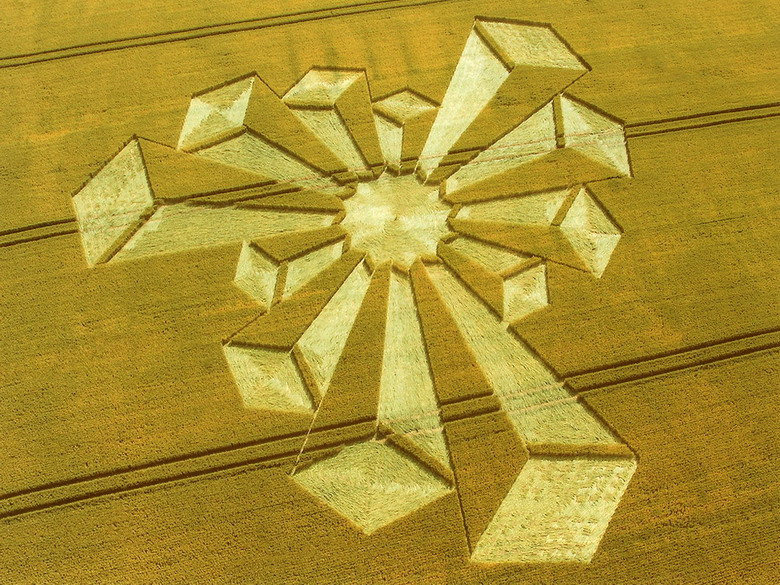 Ban đầu, các crop circle được phát hiện chỉ có dạng vòng tròn khá đơn giản. Nhưng càng về sau chúng càng trở nên phức tạp hơn.