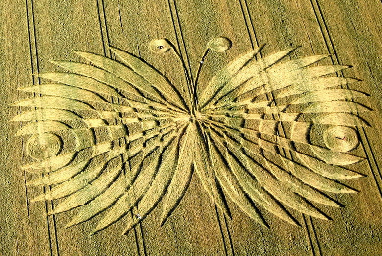 Các ý kiến khác cho rằng crop circle được tạo ra bởi năng lượng có dạng bức xạ điện từ xuất phát từ trong lòng Trái Đất. Thực tế, các nhà khoa học đã đo được lượng từ trường khá mạnh bên trong vòng tròn. Nhưng khó có thể tin rằng năng lượng thiên nhiên lại có trí tưởng tượng để tạo ra những họa tiết như hình con bướm này.