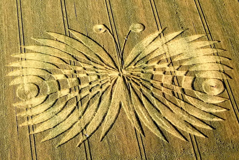 Các ý kiến khác cho rằng crop circle được tạo ra bởi năng lượng có dạng bức xạ điện từ xuất phát từ trong lòng Trái Đất. Thực tế, các nhà khoa học đã đo được lượng từ trường khá mạnh bên trong vòng tròn. Nhưng khó có thể tin rằng năng lượng thiên nhiên lại có trí tưởng tượng để tạo ra những họa tiết như hình con bướm này.