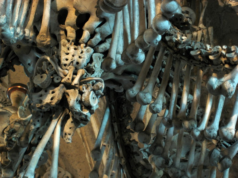 Chiếc đèn được tạo tác bằng mọi loại xương trên cơ thể con người.