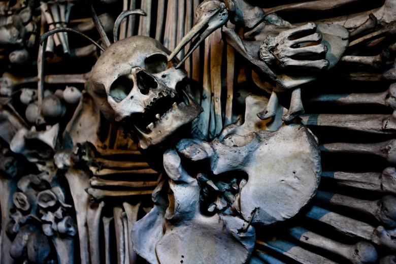 Cuối cùng, Rint đã tạo ra một tác phẩm khiến hậu thế vừa rợn tóc gáy, vừa phải nể phục.