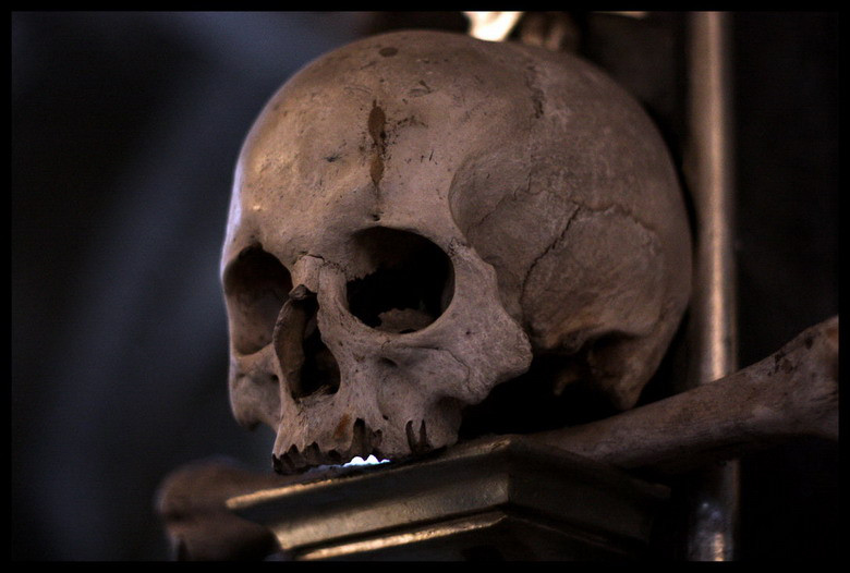 Những chiếc đầu lâu gây ấn tượng mạnh nhất trong tất cả các loại xương được sử dụng.