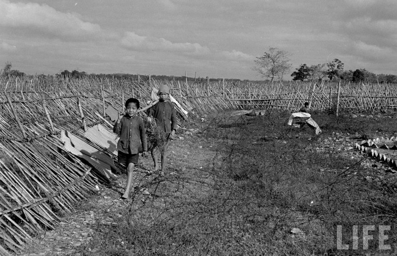 Trẻ em nhặt củi phục vụ quân Pháp.