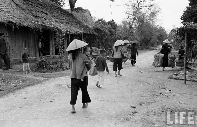 Trên đường làng.