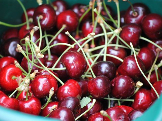 Anh đào (cherry) là trái cây nổi tiếng đến từ Australia, có vẻ ngoài mọng đỏ bắt mắt và vị ngọt dịu hấp dẫn. Anh đào có thể dùng để ăn tươi hoặc làm mứt. Loại quả này có giá khá cao, từ 450.000 đến 500.000 đồng/kg.