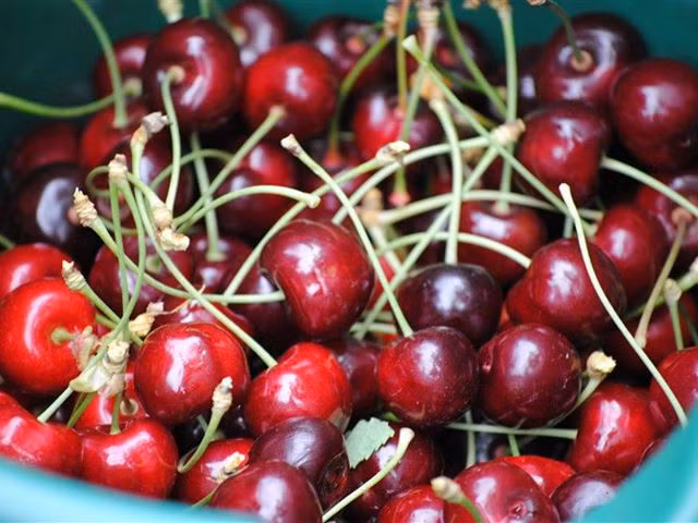 Anh đào (cherry) là trái cây nổi tiếng đến từ Australia, có vẻ ngoài mọng đỏ bắt mắt và vị ngọt dịu hấp dẫn. Anh đào có thể dùng để ăn tươi hoặc làm mứt. Loại quả này có giá khá cao, từ 450.000 đến 500.000 đồng/kg.