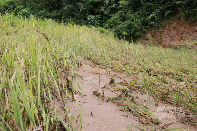 Hien truong sat lo du an dien gio o Quang Tri-Hinh-3