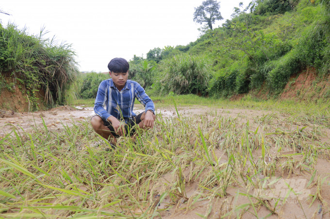 Hien truong sat lo du an dien gio o Quang Tri