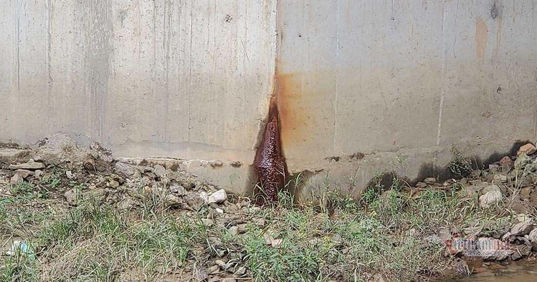 Chuyen chua biet ve 2 cay cau Thuy Tien tu thien o Thanh Chuong-Hinh-10