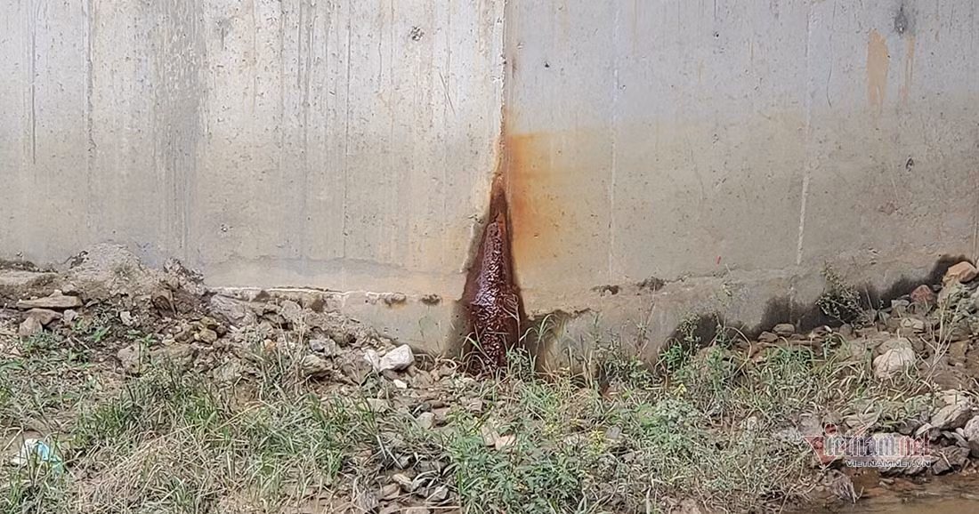 Chuyen chua biet ve 2 cay cau Thuy Tien tu thien o Thanh Chuong-Hinh-10