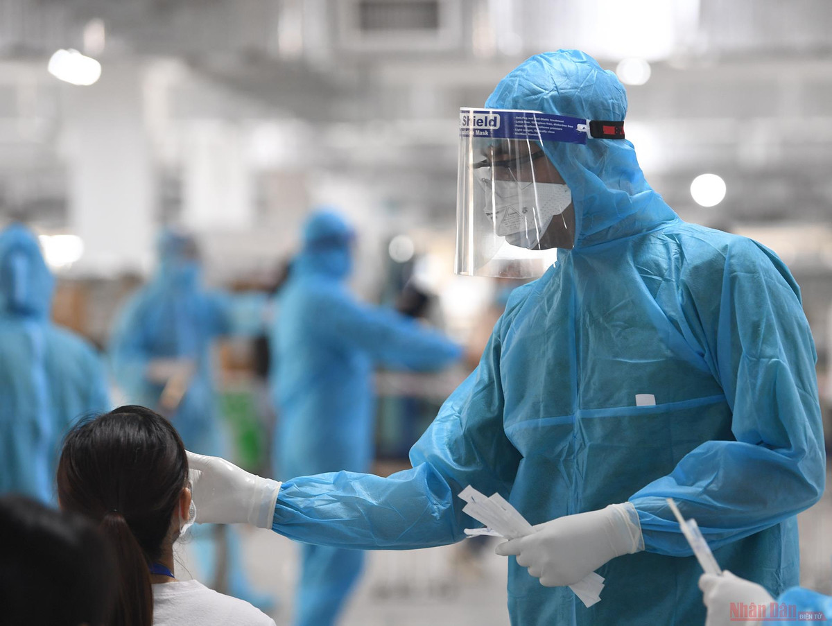 Ngay 23/10: Co 3.373 ca mac COVID-19 tai 47 tinh, thanh-Hinh-2