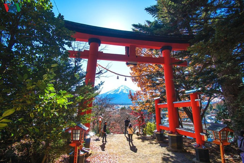 Mùa thu chính là mùa thu hút rất nhiều du khách khắp mọi nơi đến thưởng ngoạn cảnh đẹp.