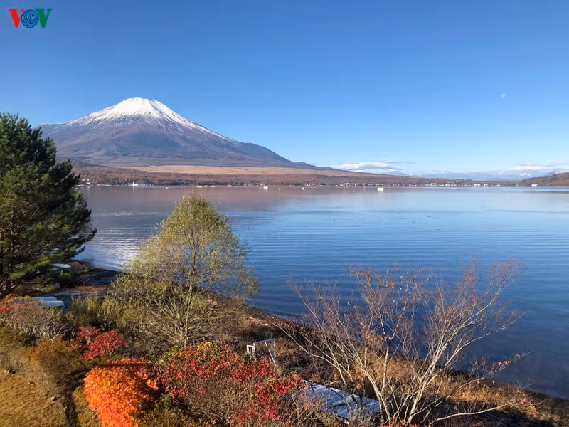 Khi mùa thu gõ cửa, Phú Sĩ như khoác lên mình bộ áo mới rực rỡ sắc vàng, sắc đỏ của những rừng lá phong bạt ngàn. Đây là thời điểm lý tưởng nhất để leo núi Phú Sĩ và khám phá ngọn núi nổi tiếng này.