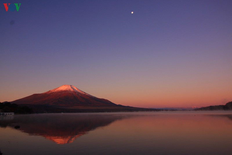 Tuy thiếu tuyết trắng phủ nhưng núi Phú Sĩ lại đẹp lãng mạn khi các loài cây thay lá, chuyển màu vàng đỏ, rực rỡ.