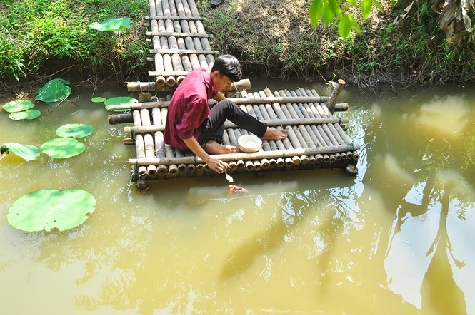 ##s###Chủ đàn cá cho ăn 