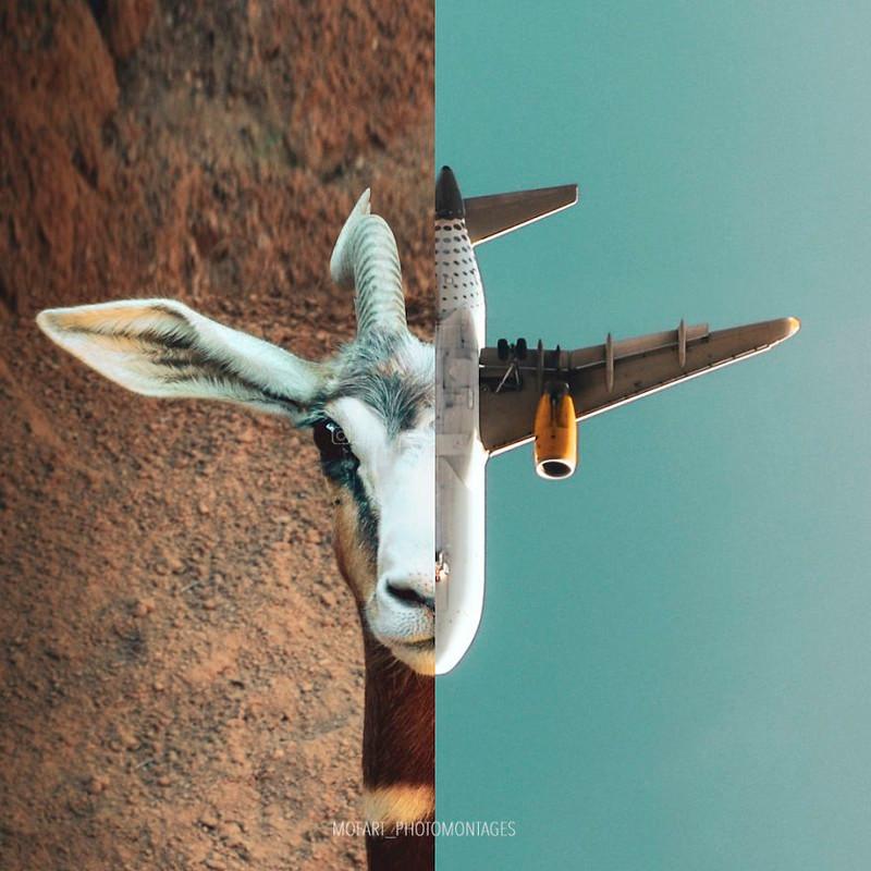 Một sự tương đồng khiến bạn cảm thấy bất ngờ.