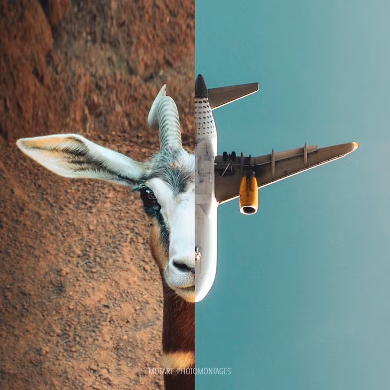 Một sự tương đồng khiến bạn cảm thấy bất ngờ.