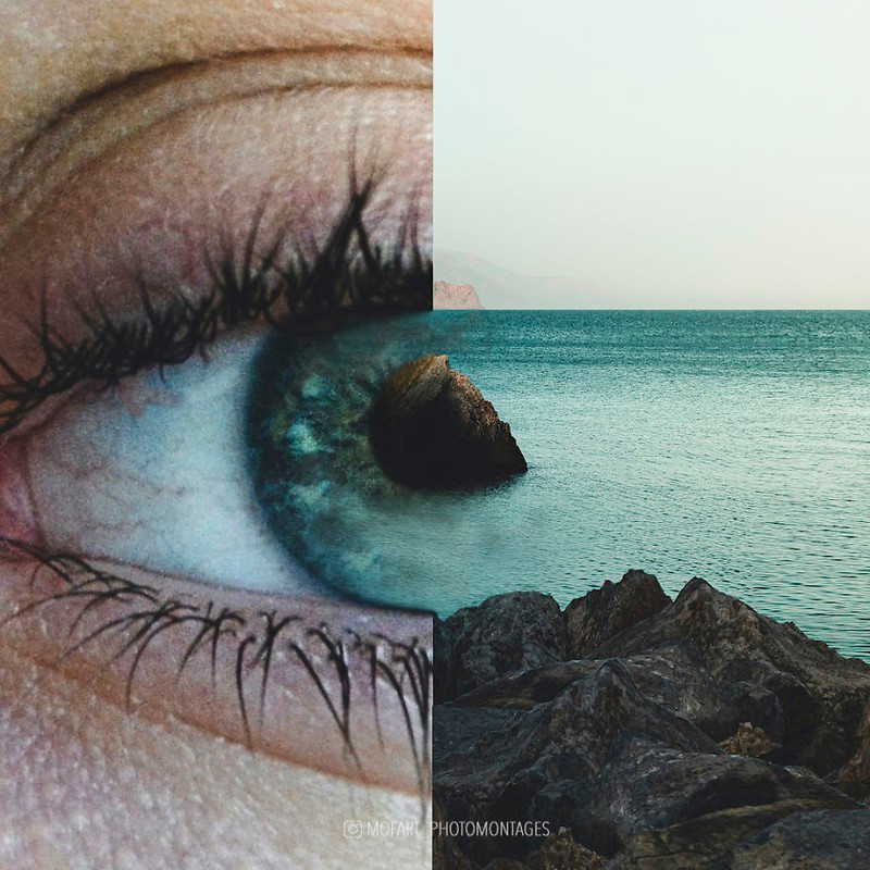 Những mảng màu sắc tương đồng của những sự vật khác nhau đôi khi lại hòa hợp với nhau đến khó tin. 