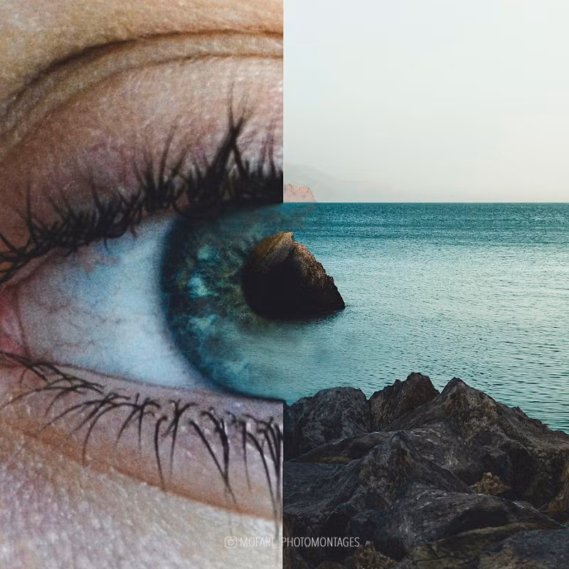 Những mảng màu sắc tương đồng của những sự vật khác nhau đôi khi lại hòa hợp với nhau đến khó tin. 