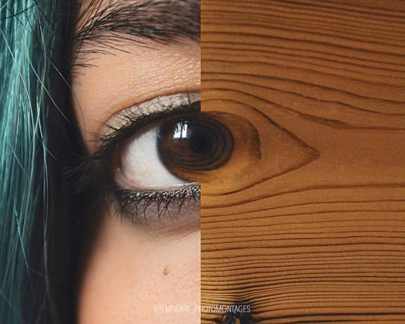 Một sự kết hợp không thể ấn tượng hơn./.