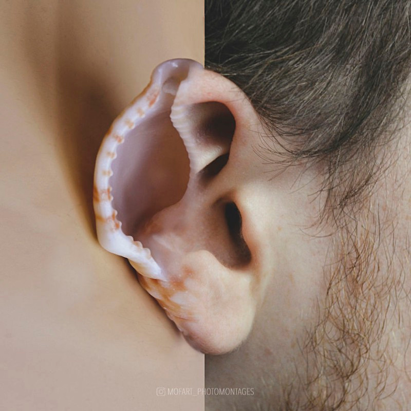 Lắng nghe âm thanh đại dương qua chiếc vỏ ốc. 