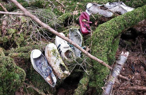 Rừng Aokigahara, Nhật Bảnlà một khu rừng ở sườn phía tây bắc núi Phú Sĩ của Nhật Bản phát triển trên nền nham thạch đã cứng. Khu rừng còn có cái tên khác là khu rừng tự sát. 