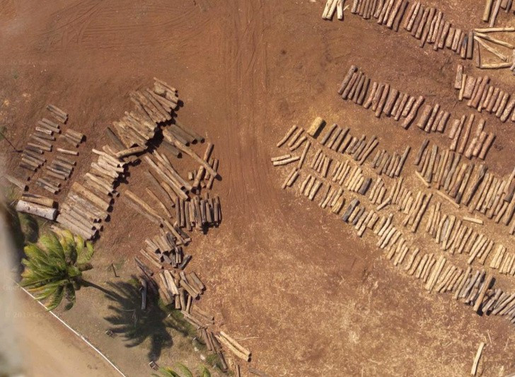 Chả ai nghĩ đến một khu rừng xanh tươi từng có mặt ở đây, trước khi những khúc gỗ này được xếp thành từng hàng.