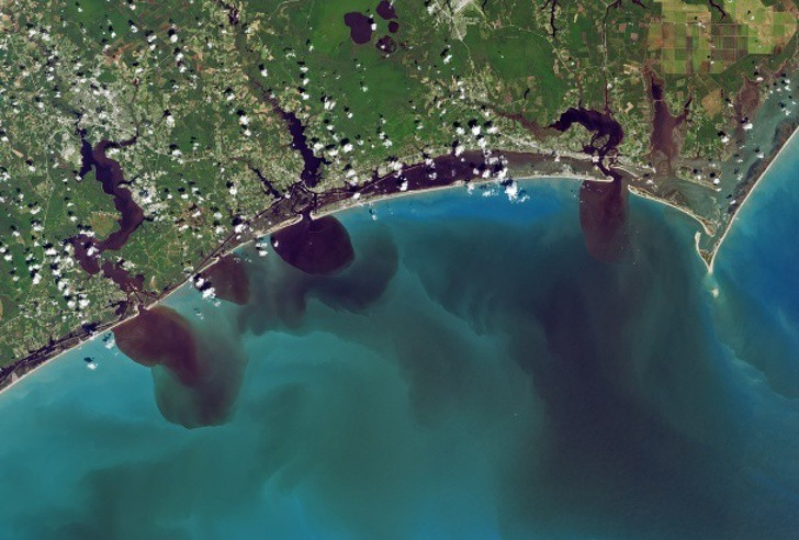 Các đại dương bị đầu độc dần dần, rồi đến con người chỉ trong "chớp mắt".