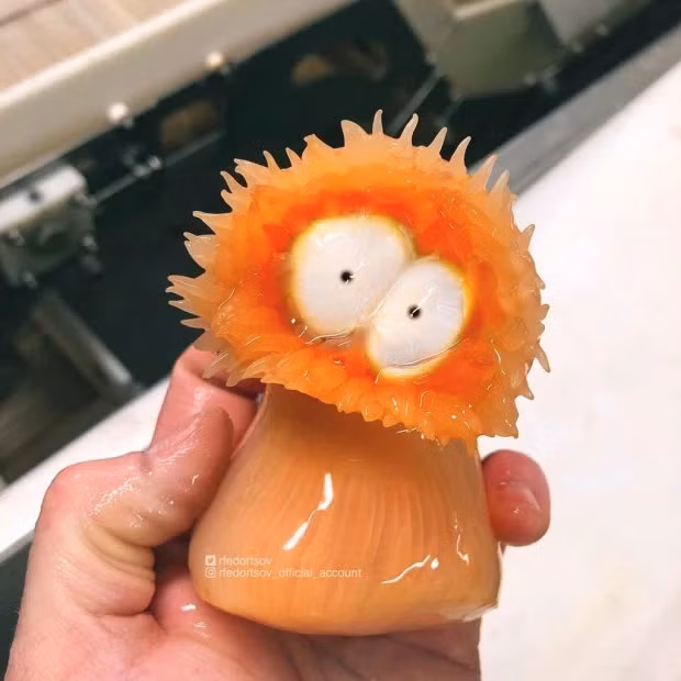 Con hải quỳ đáng yêu hết nấc.