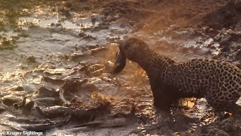 Bao dom doi khat lao xuong ao bat ca, gap van may khong tuong-Hinh-3