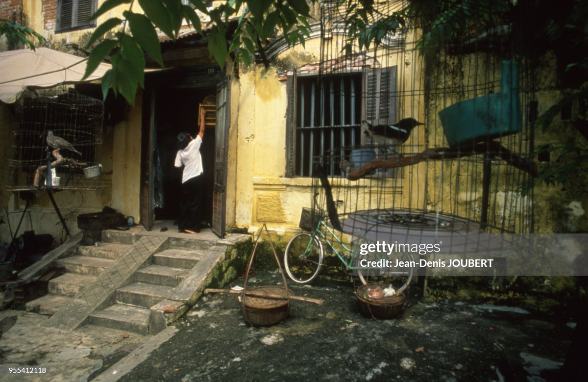 Những chiếc lồng chim tại một ngôi nhà cũ ở phố cổ Hội An.