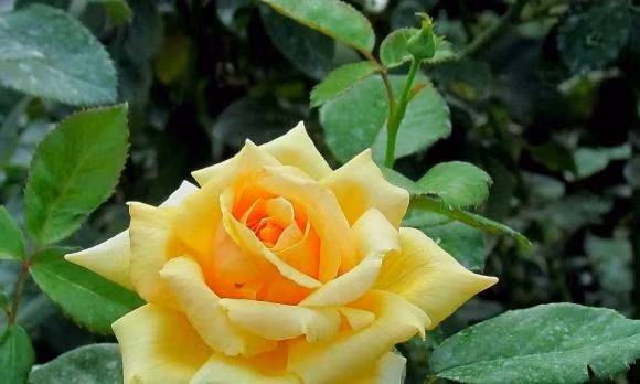 Xuat hien 3 dau hieu suy tan nay, gia dinh cho xem thuong