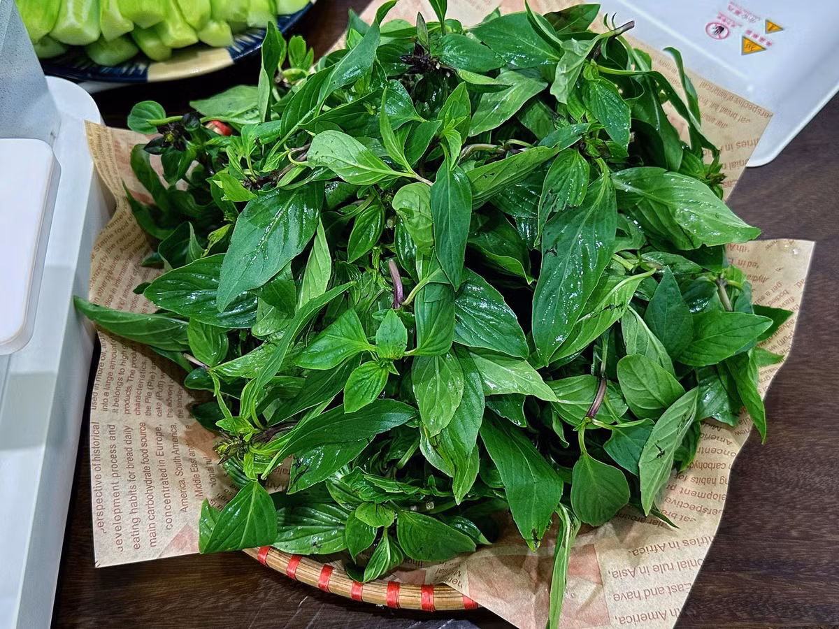 Loai rau gia vi con la duoc lieu quy, ngua lao hoa, chong ung thu