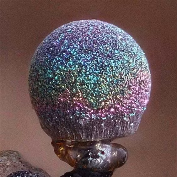 Ngam loai nam ong anh nhu thach anh dep nhat the gioi-Hinh-2